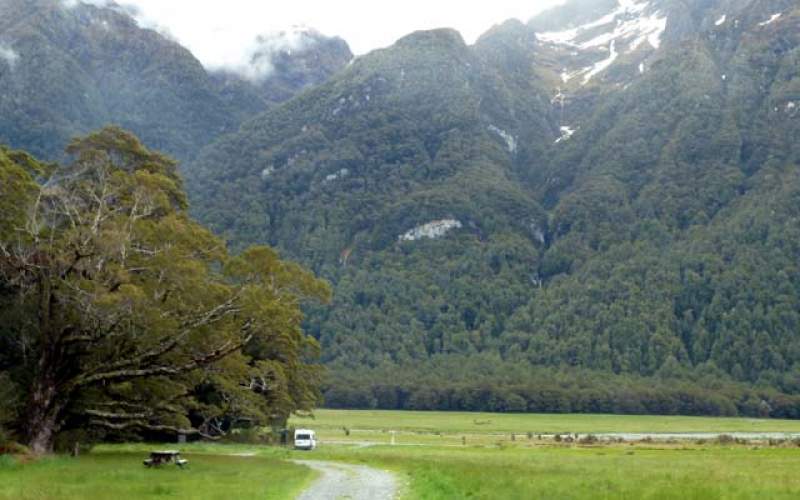 Kiosk Creek Campsite Freedom/Basic Camp New Zealand